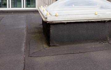 disadvantages of Coulport flat roofs